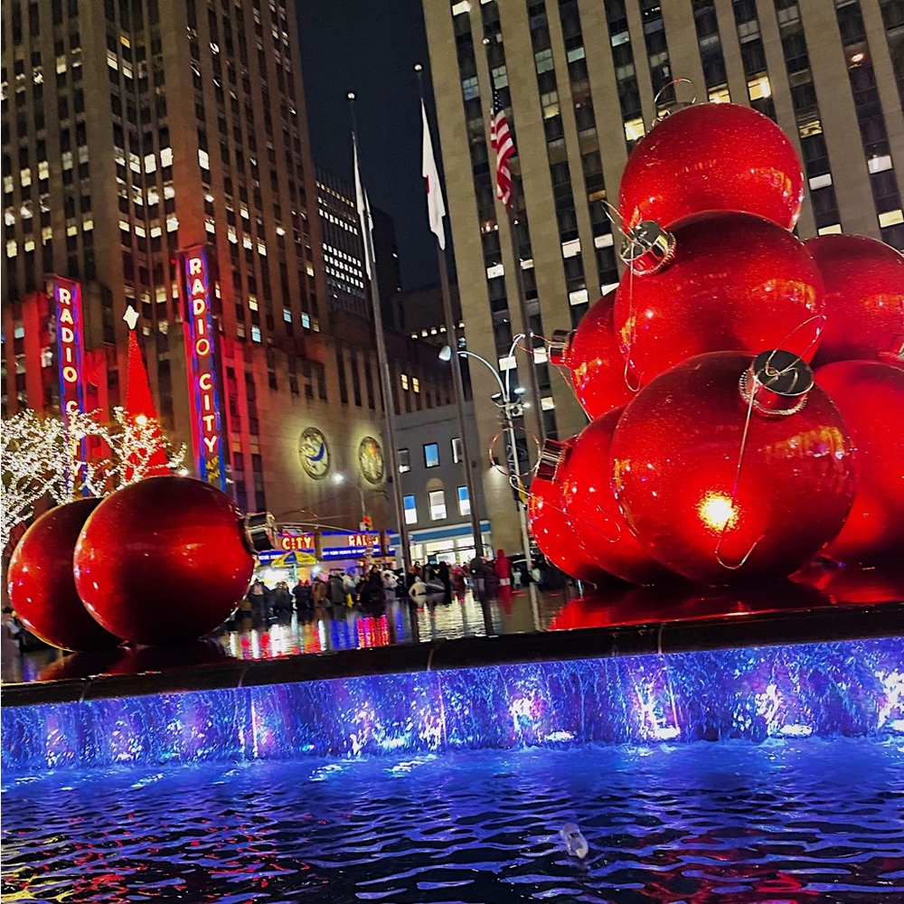 Meet your Posher, Molly